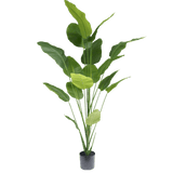 Strelitzia kunstplant 210cm