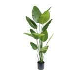 Strelitzia kunstplant 180cm