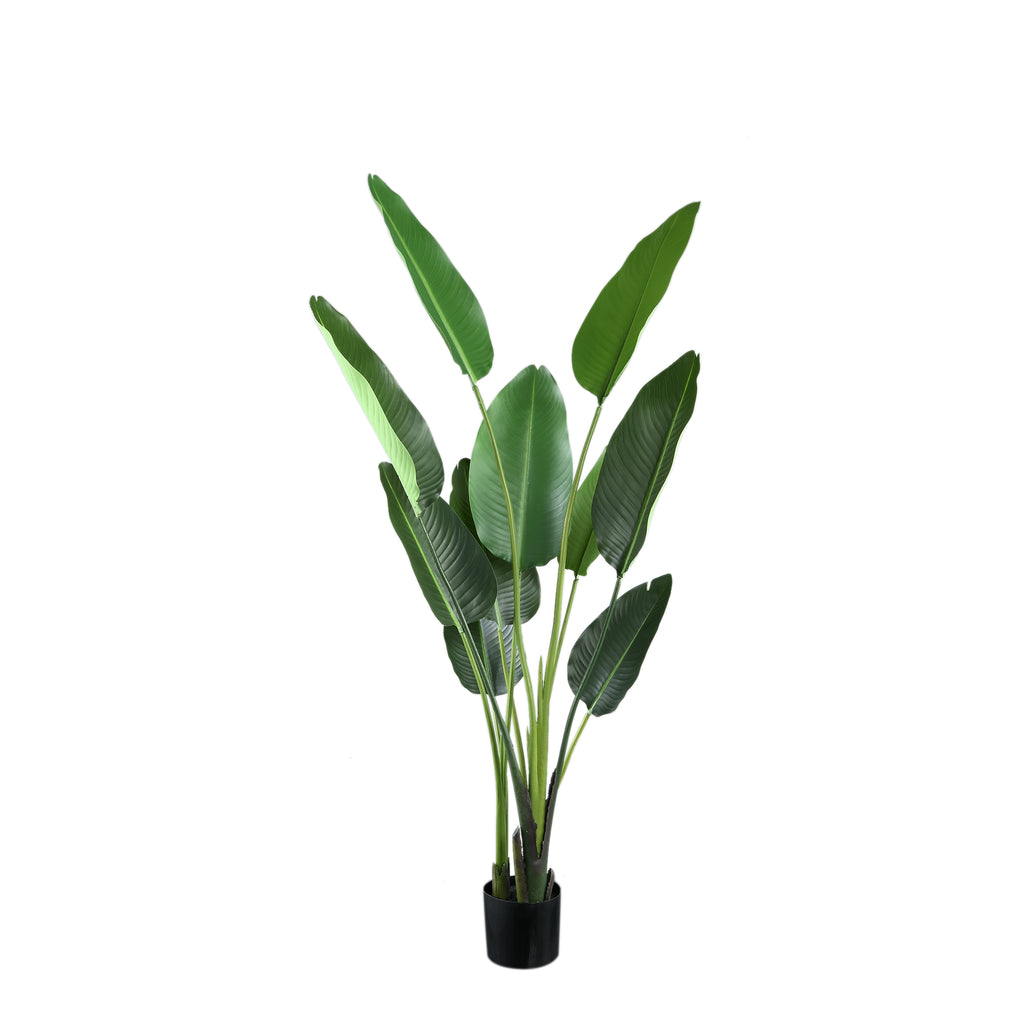 Leaves Plant Green PE Real Touch Strelitzia M 85x73x150cm PTMD