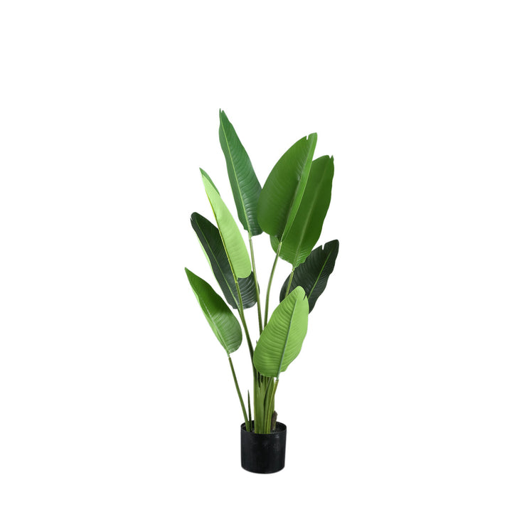 Leaves Plant Green PE Real Touch Strelitzia S 77x56x117cm PTMD
