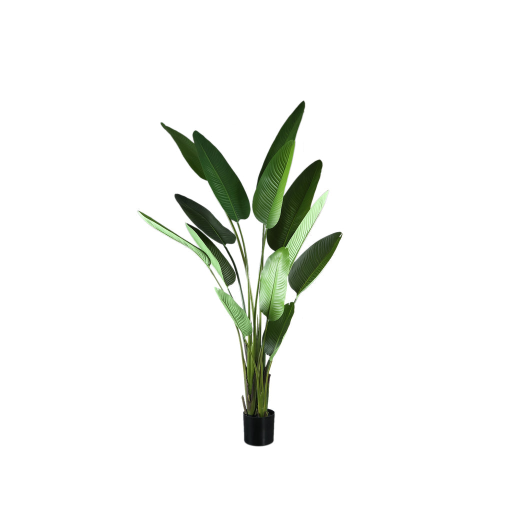 Leaves Plant Green PE Real Touch Strelitzia L 110x63x235cm PTMD