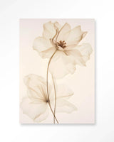 White Flowers - Moderne Wanddecoratie | Artprint, Glass Art & Wandkleed