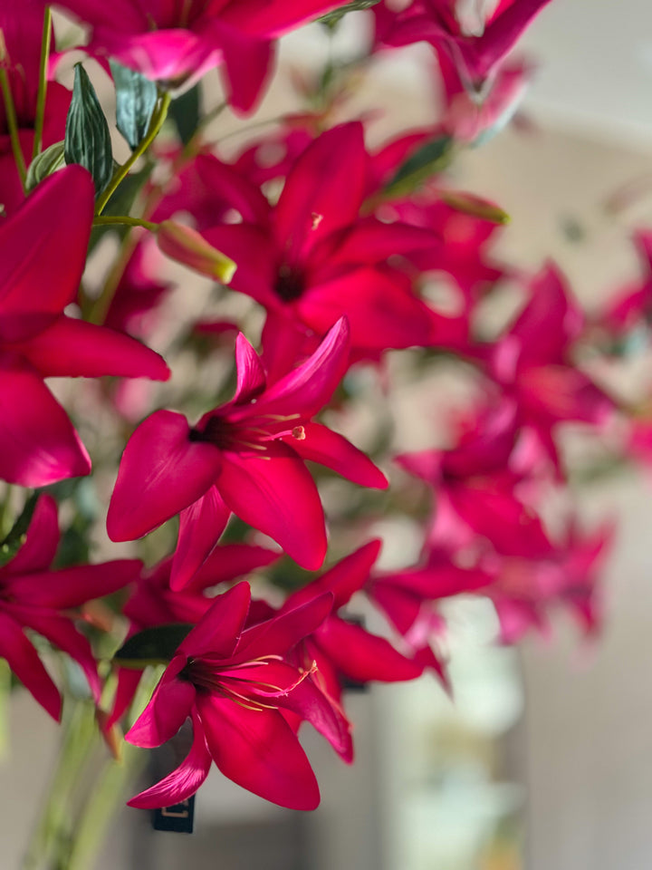 Hard roze tijger lelie