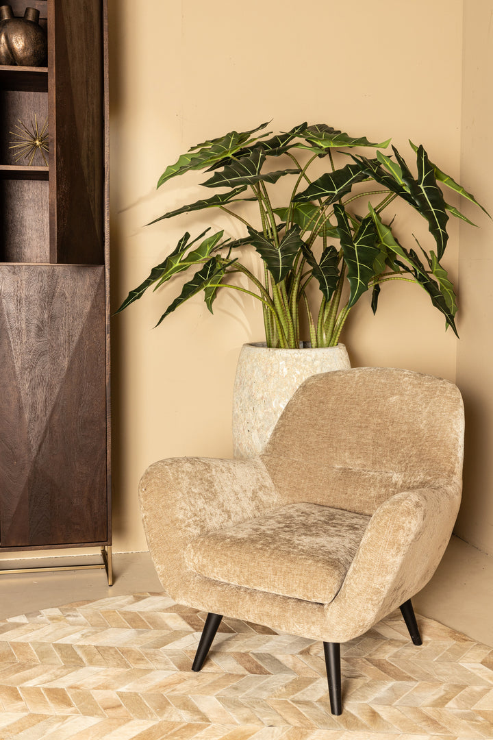 Donny Cream Fauteuil Black Wooden Legs