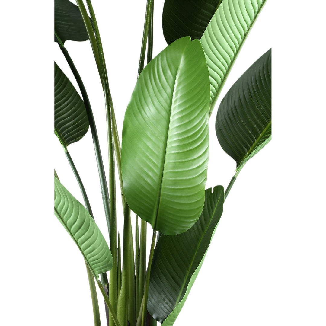 Leaves Plant Green PE Real Touch Strelitzia L 110x63x235cm PTMD