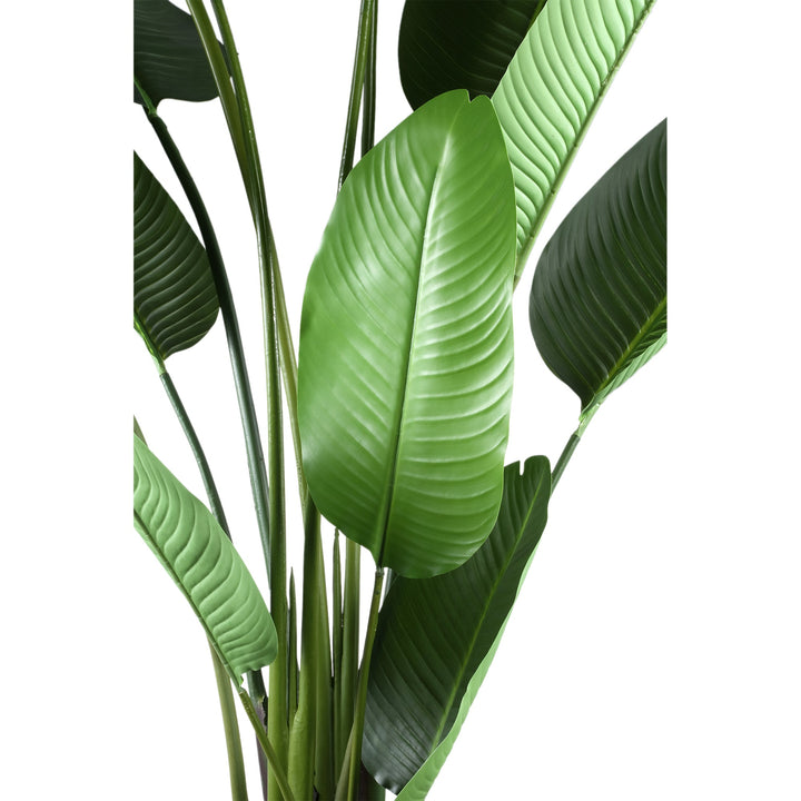 Leaves Plant Green PE Real Touch Strelitzia L 110x63x235cm PTMD