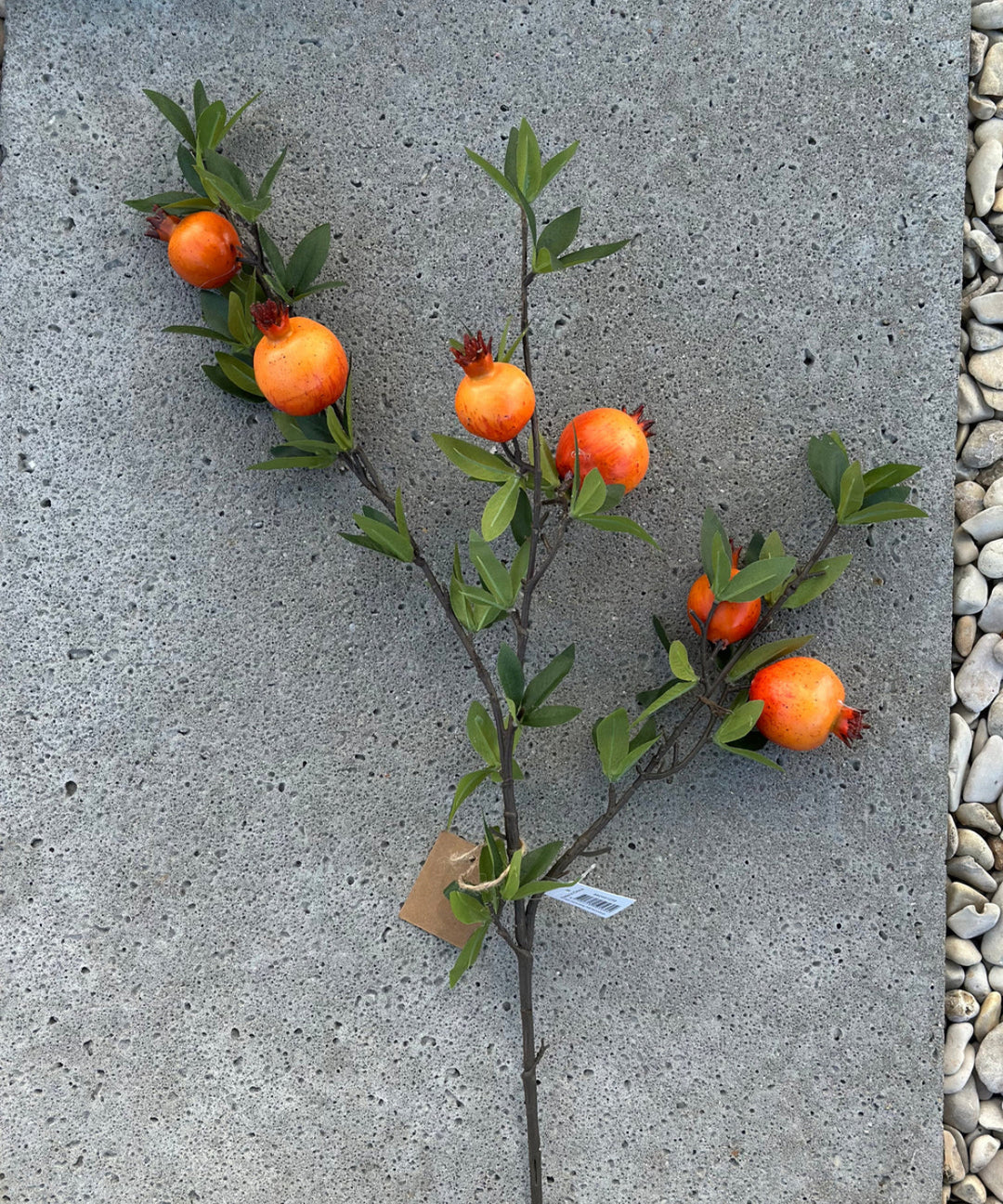 Granaat appel takken