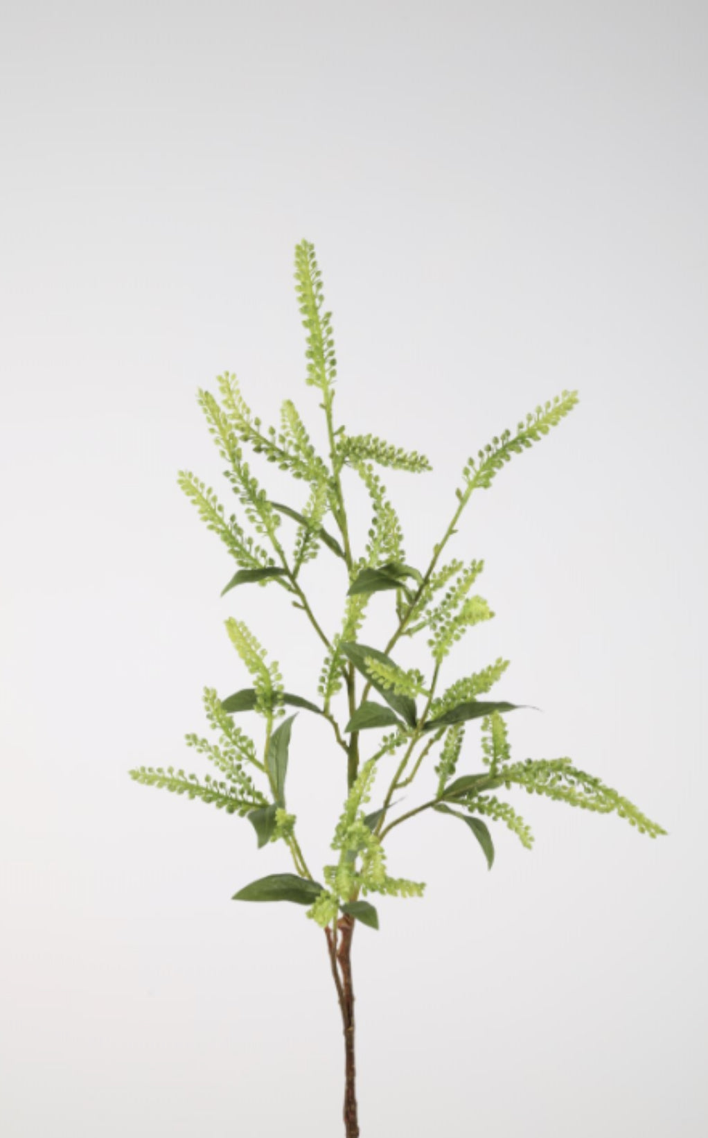Japonica Pieris kunsttak