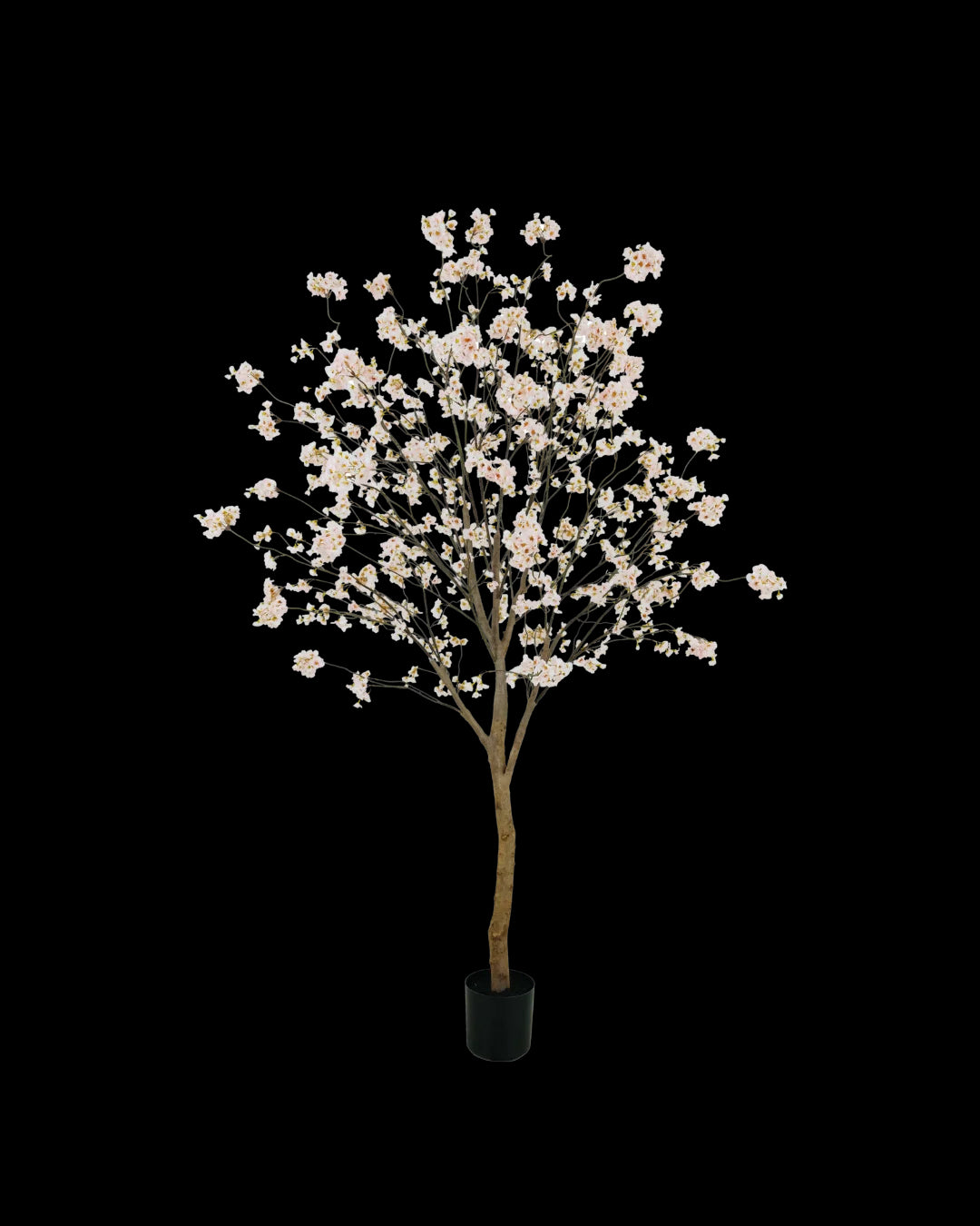 Bloesem boom roze 180cm