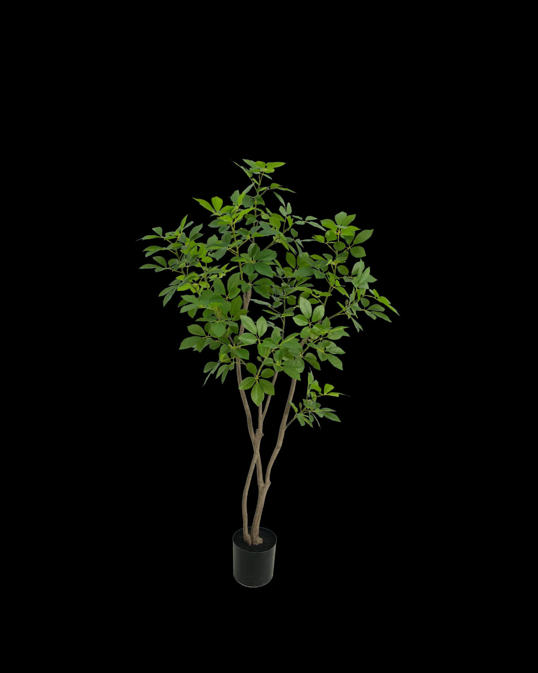 Trompet boom 150cm