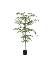 Black Olive kunstboom 210cm
