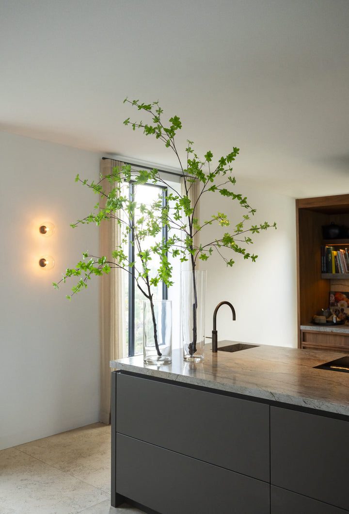 Enkianthus tak 150cm