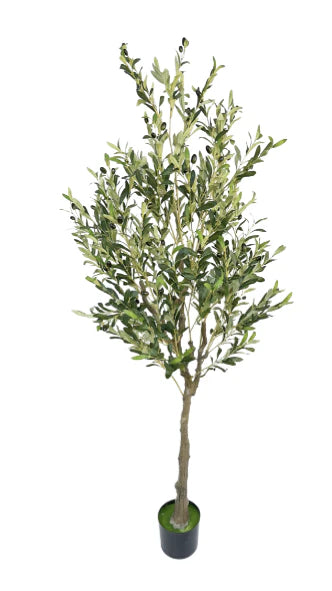 Plantenpot Benti – Naturel | By-Boo