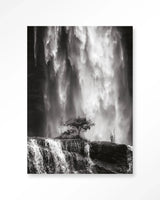 Germinate - Moderne Wanddecoratie | Artprint, Glass Art & Wandkleed