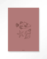 Tres Pisces - Moderne Wanddecoratie | Artprint, Glass Art & Wandkleed