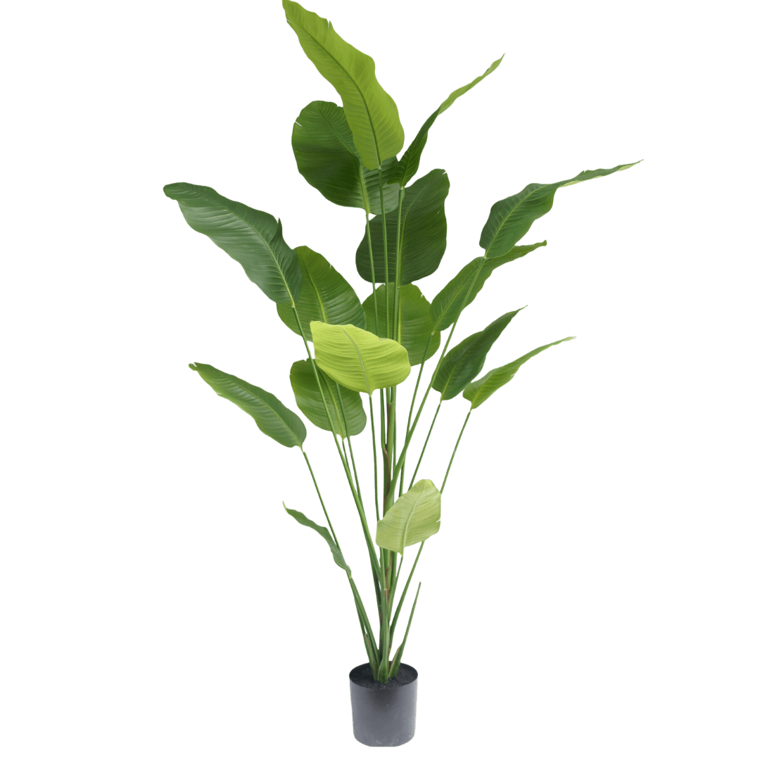 Strelitzia kunstplant 210cm - Silk House