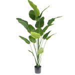 Strelitzia kunstplant 210cm
