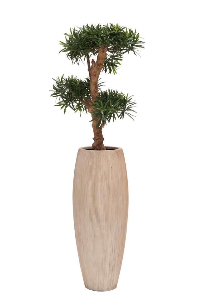 Hoge plantenpot Surabaya Stripe – Beige M