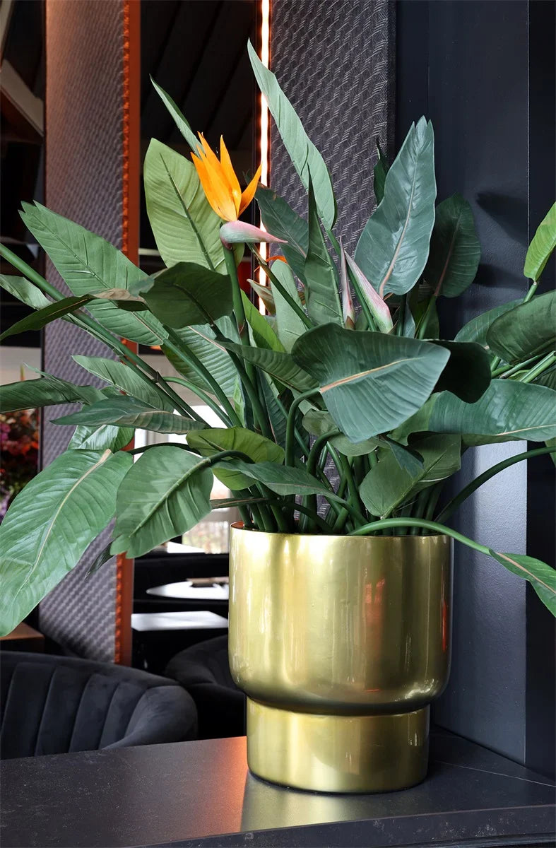 Pot Roskilde S gold