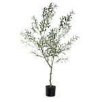 Tree Green Olive Tree In Pot L 110x70x156cm PTMD