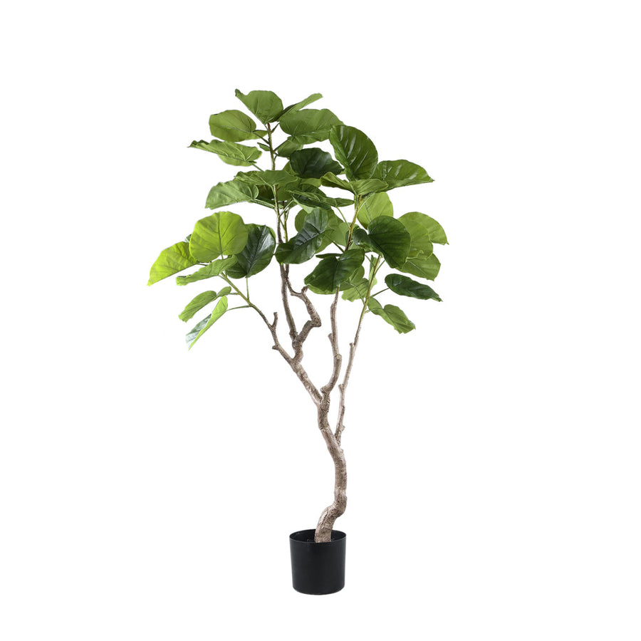 Tree Green Ficus Tree In Pot M 109x115x15,5cm PTMD
