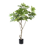 Tree Green Fig Tree In Pot L 118x110x152,5cm PTMD