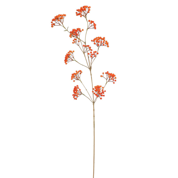 Oranje  bessen tak 110 cm