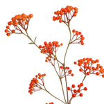 Oranje  bessen tak 110 cm