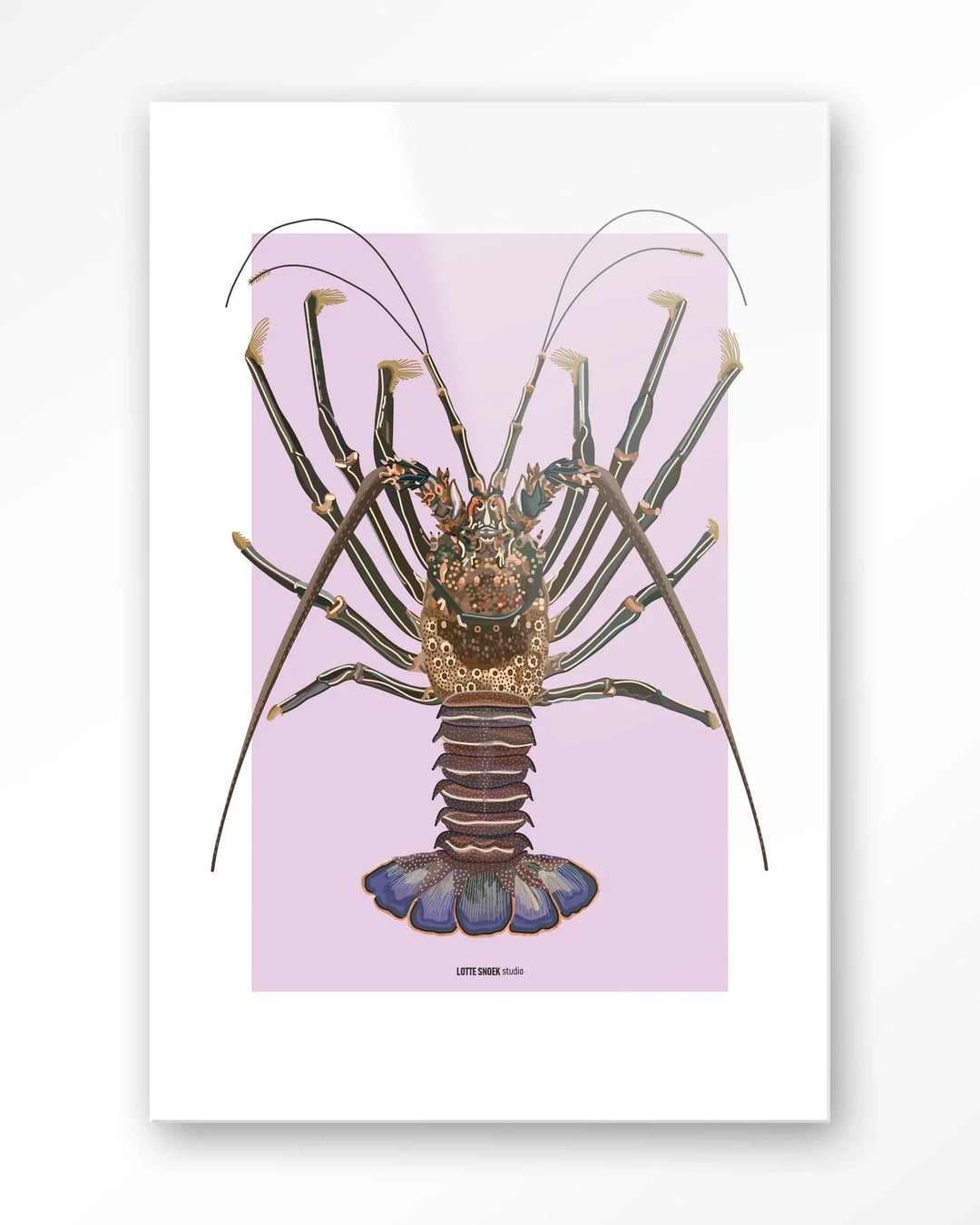 Langosta - Moderne Wanddecoratie | Artprint, Glass Art & Wandkleed