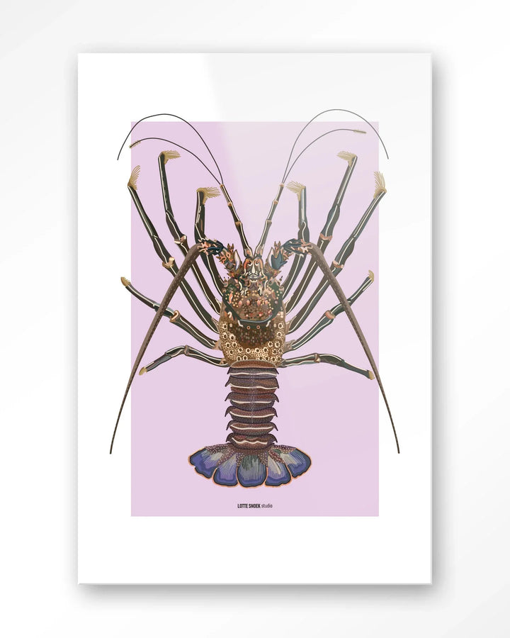 Langosta - Moderne Wanddecoratie | Artprint, Glass Art & Wandkleed