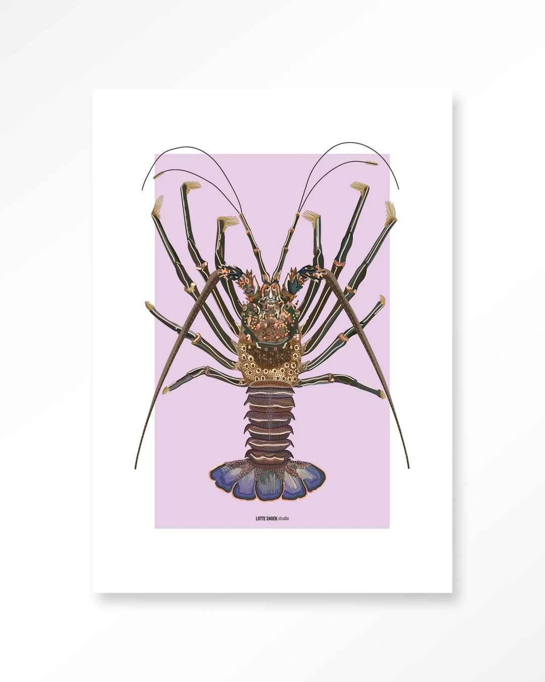 Langosta - Moderne Wanddecoratie | Artprint, Glass Art & Wandkleed