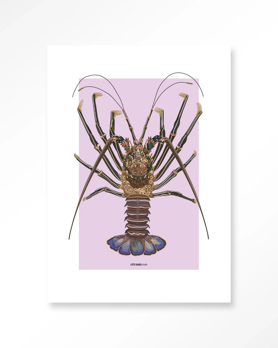 Langosta - Moderne Wanddecoratie | Artprint, Glass Art & Wandkleed