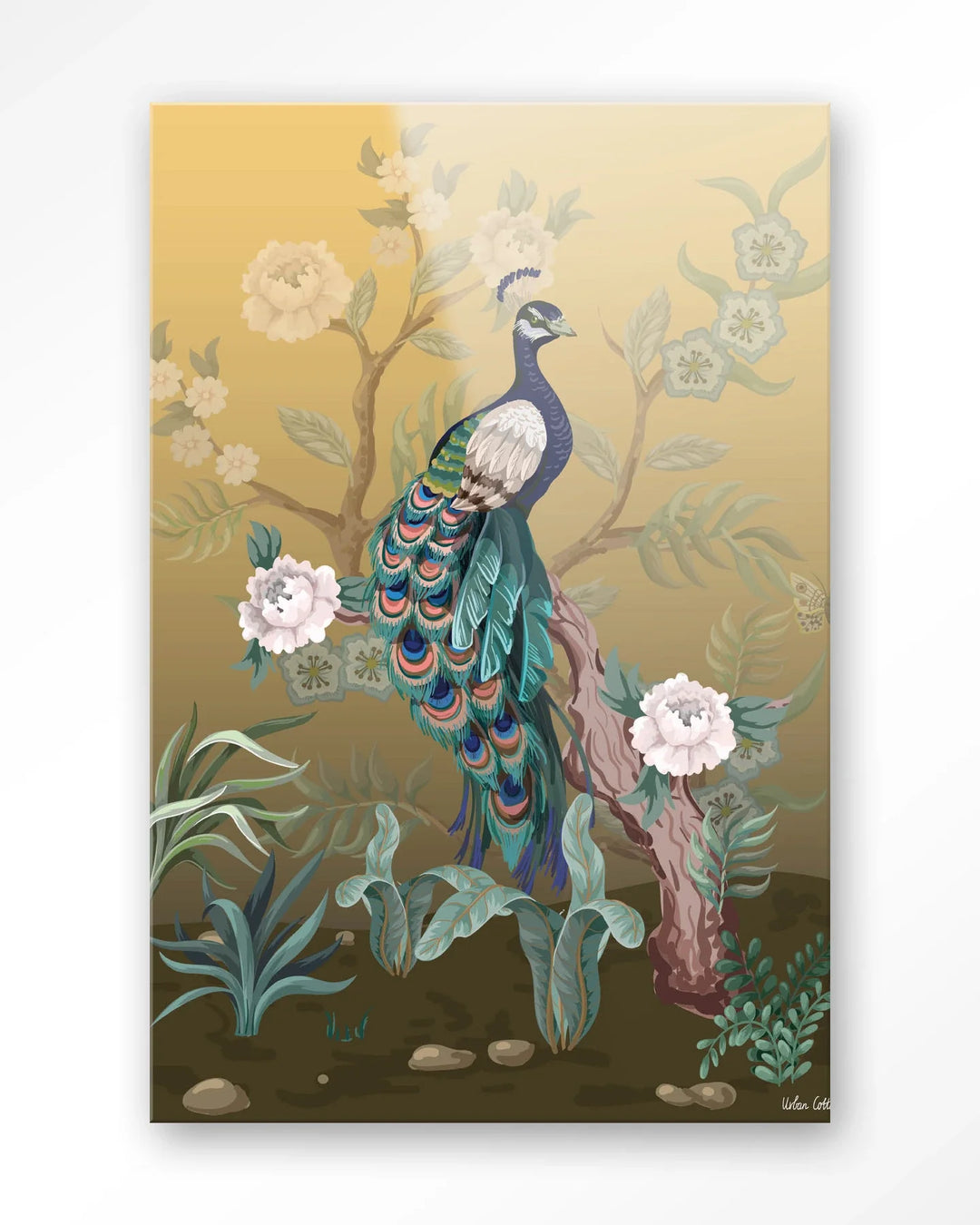 Peacock - Moderne Wanddecoratie | Artprint, Glass Art & Wandkleed