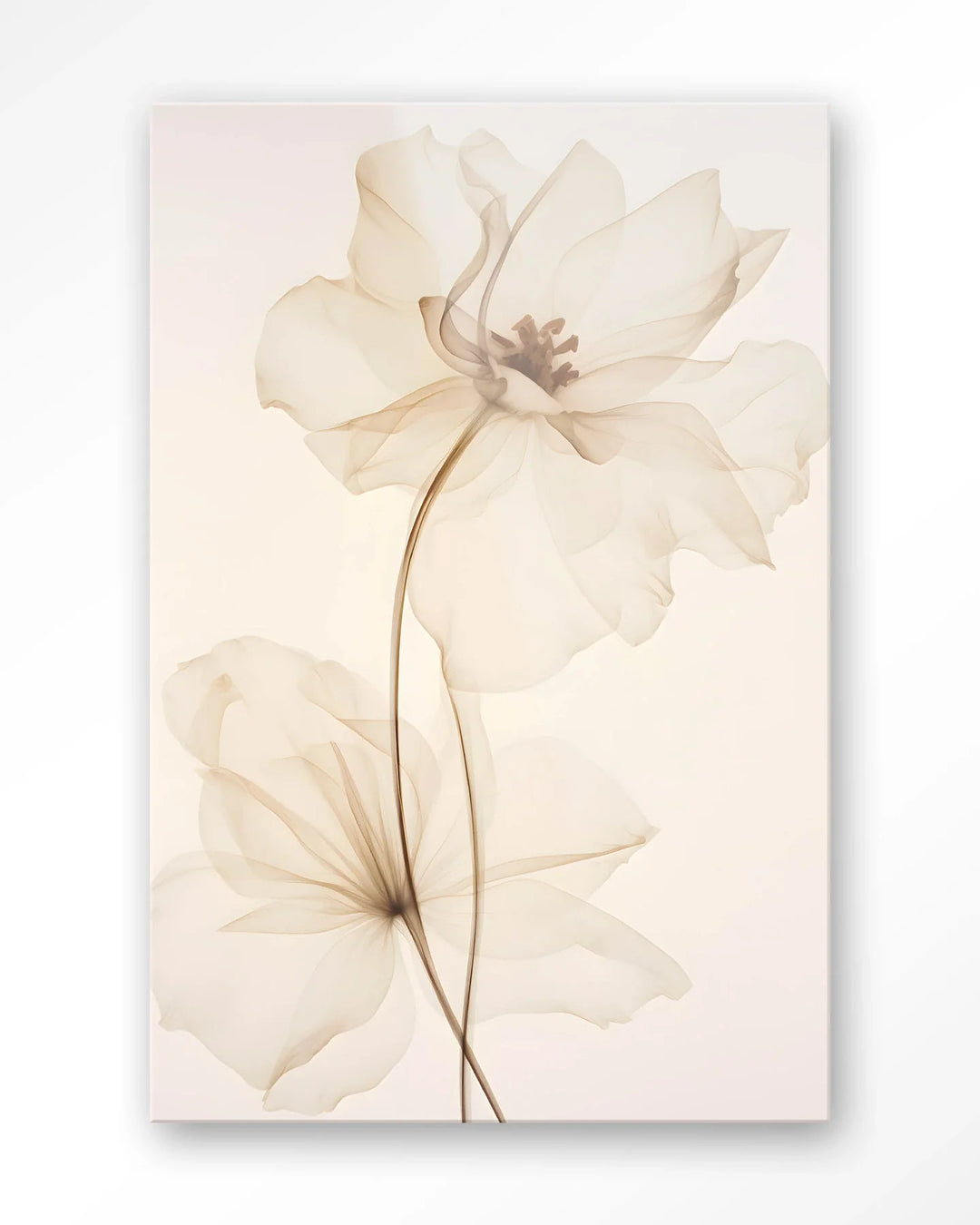 White Flowers - Moderne Wanddecoratie | Artprint, Glass Art & Wandkleed