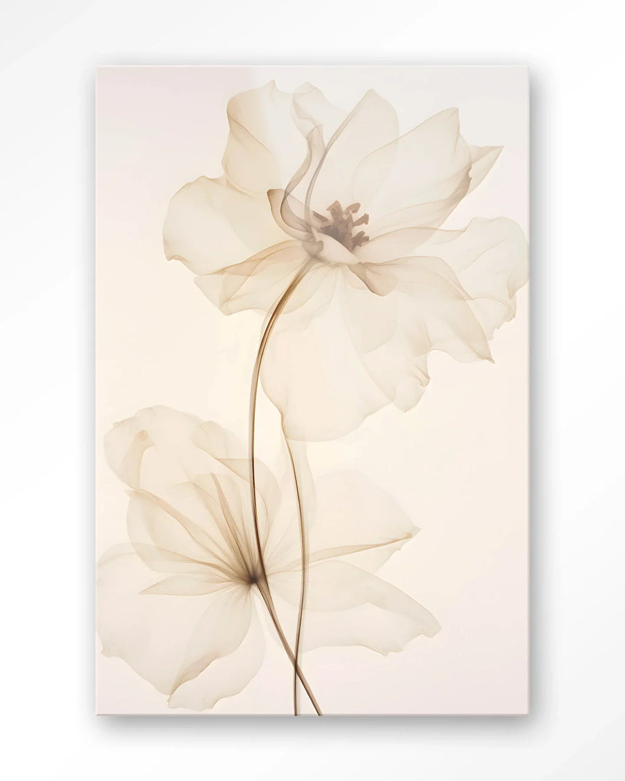 White Flowers - Moderne Wanddecoratie | Artprint, Glass Art & Wandkleed