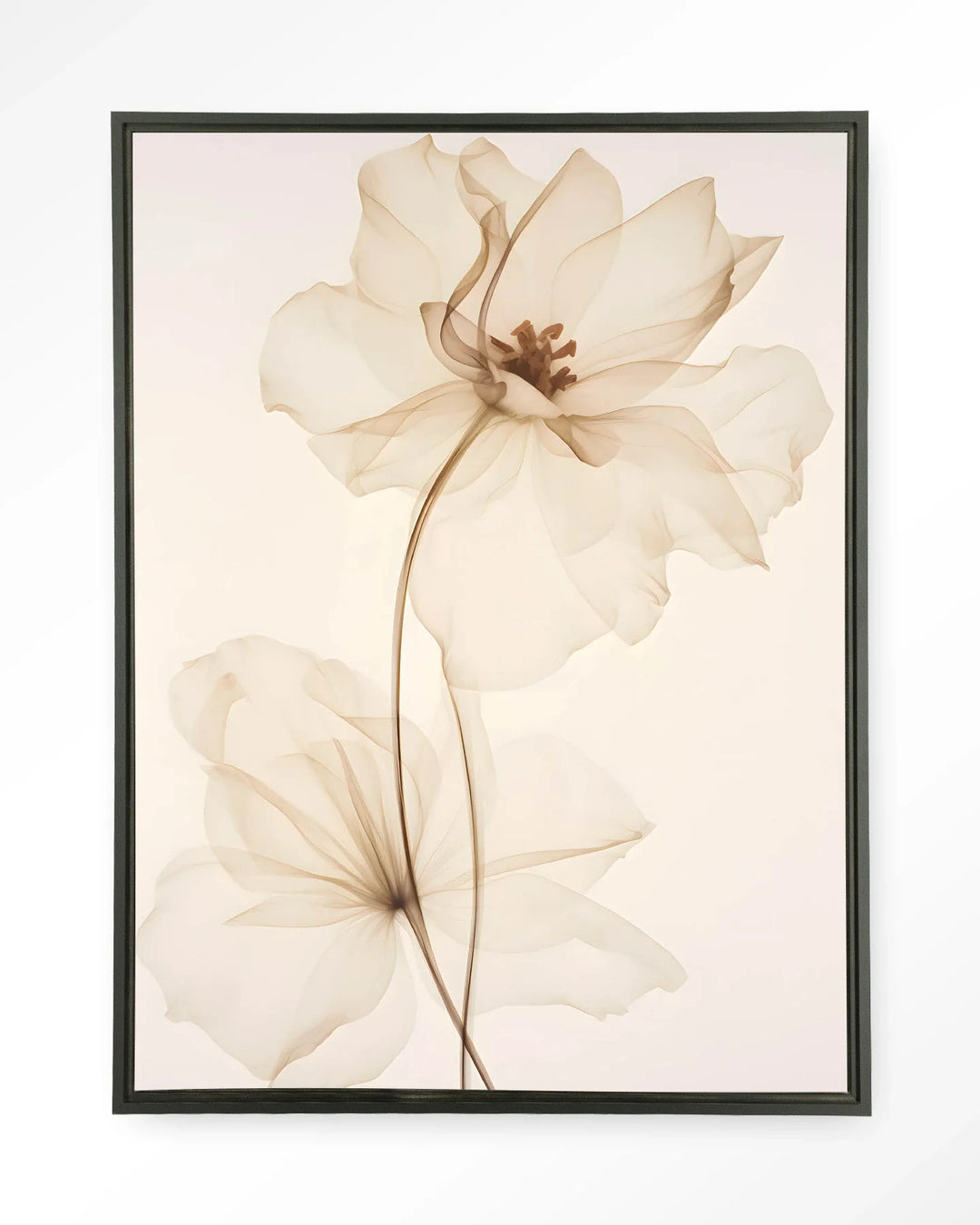 White Flowers - Moderne Wanddecoratie | Artprint, Glass Art & Wandkleed