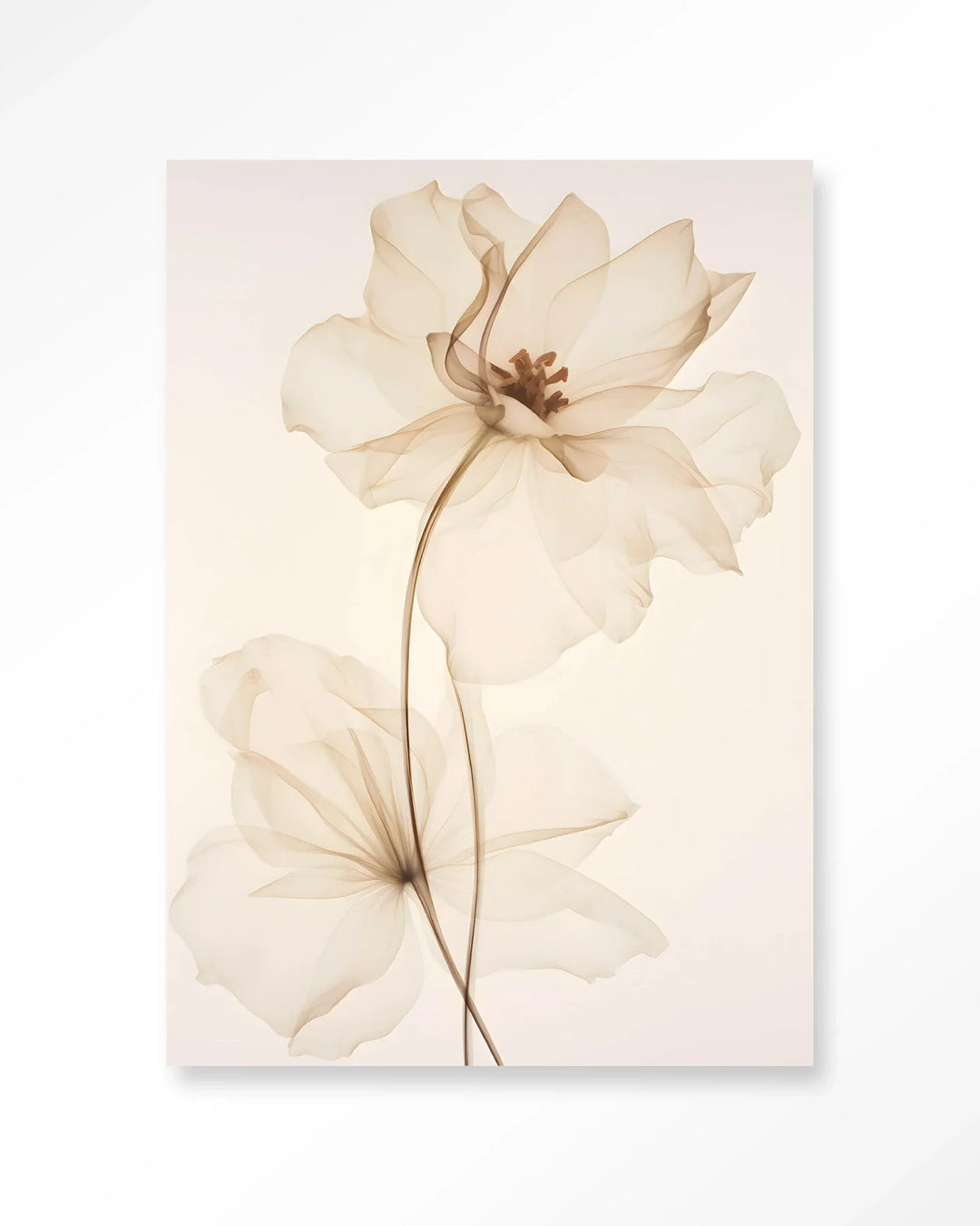 White Flowers - Moderne Wanddecoratie | Artprint, Glass Art & Wandkleed