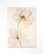 White Flowers - Moderne Wanddecoratie | Artprint, Glass Art & Wandkleed