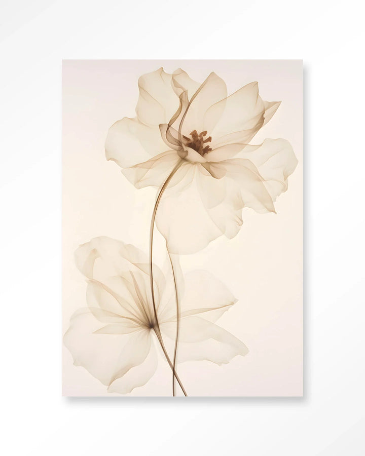 White Flowers - Moderne Wanddecoratie | Artprint, Glass Art & Wandkleed