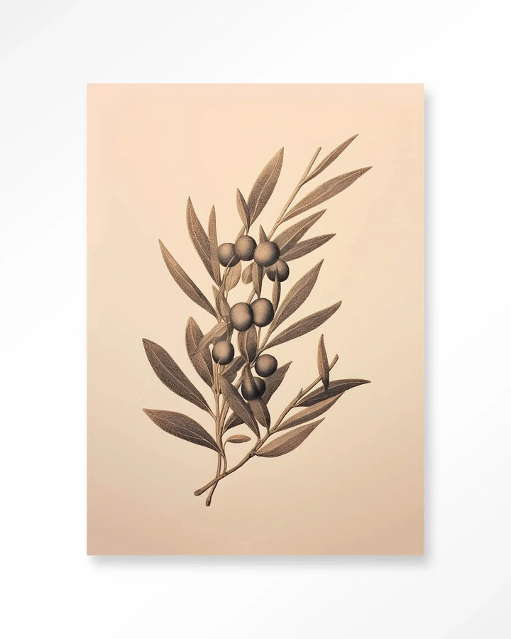 Oliva - Moderne Wanddecoratie | Artprint, Glass Art & Wandkleed