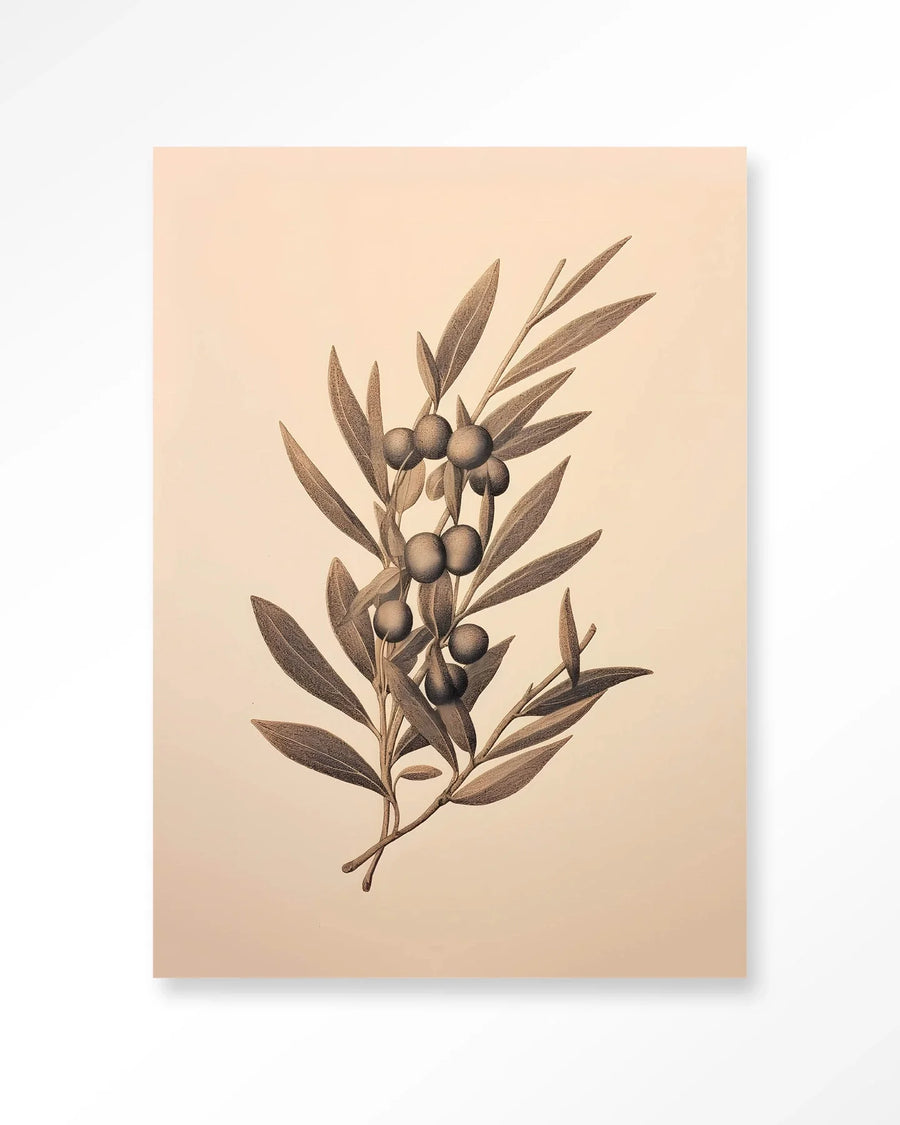 Oliva - Moderne Wanddecoratie | Artprint, Glass Art & Wandkleed