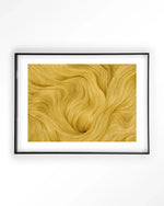 DWG-M - Moderne Wanddecoratie | Artprint, Glass Art & Wandkleed