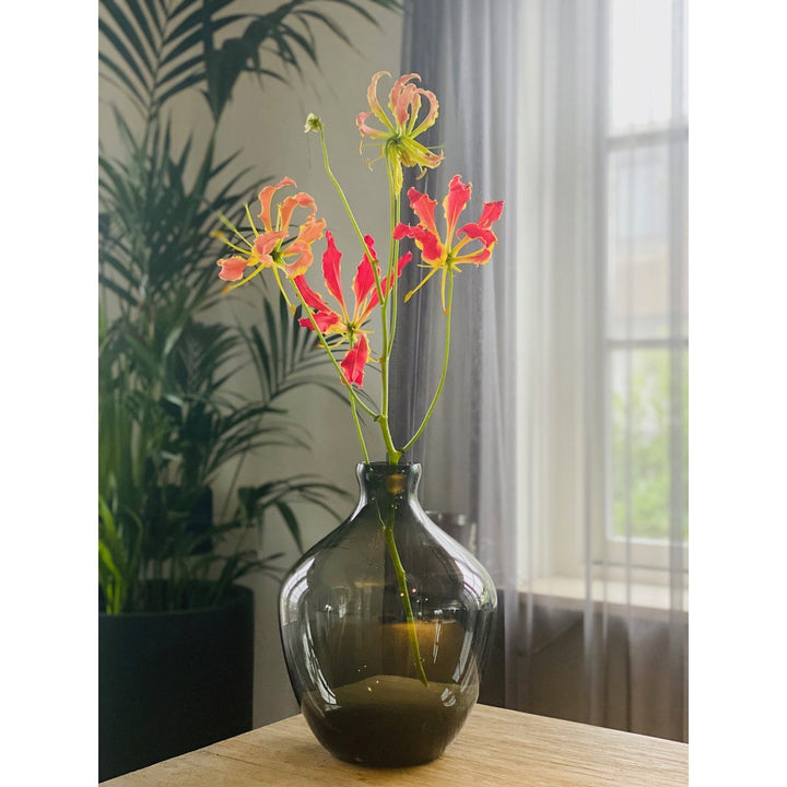 Traun Grey vaas – Mondgeblazen design van grijs glas Ø23,5xH30 cm