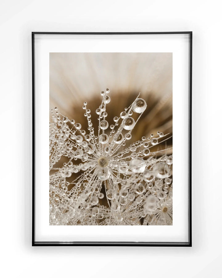 Landelijke Natuur - Moderne Wanddecoratie | Artprint, Glass Art & Wandkleed