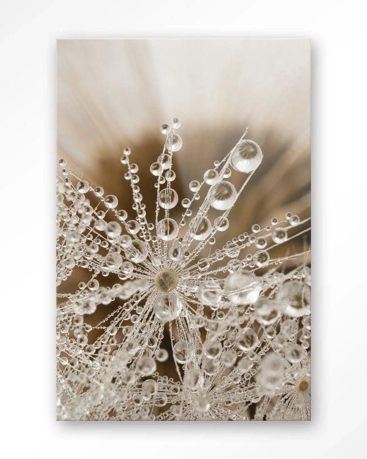 Landelijke Natuur - Moderne Wanddecoratie | Artprint, Glass Art & Wandkleed