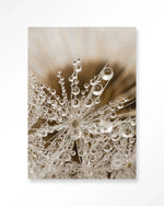 Landelijke Natuur - Moderne Wanddecoratie | Artprint, Glass Art & Wandkleed