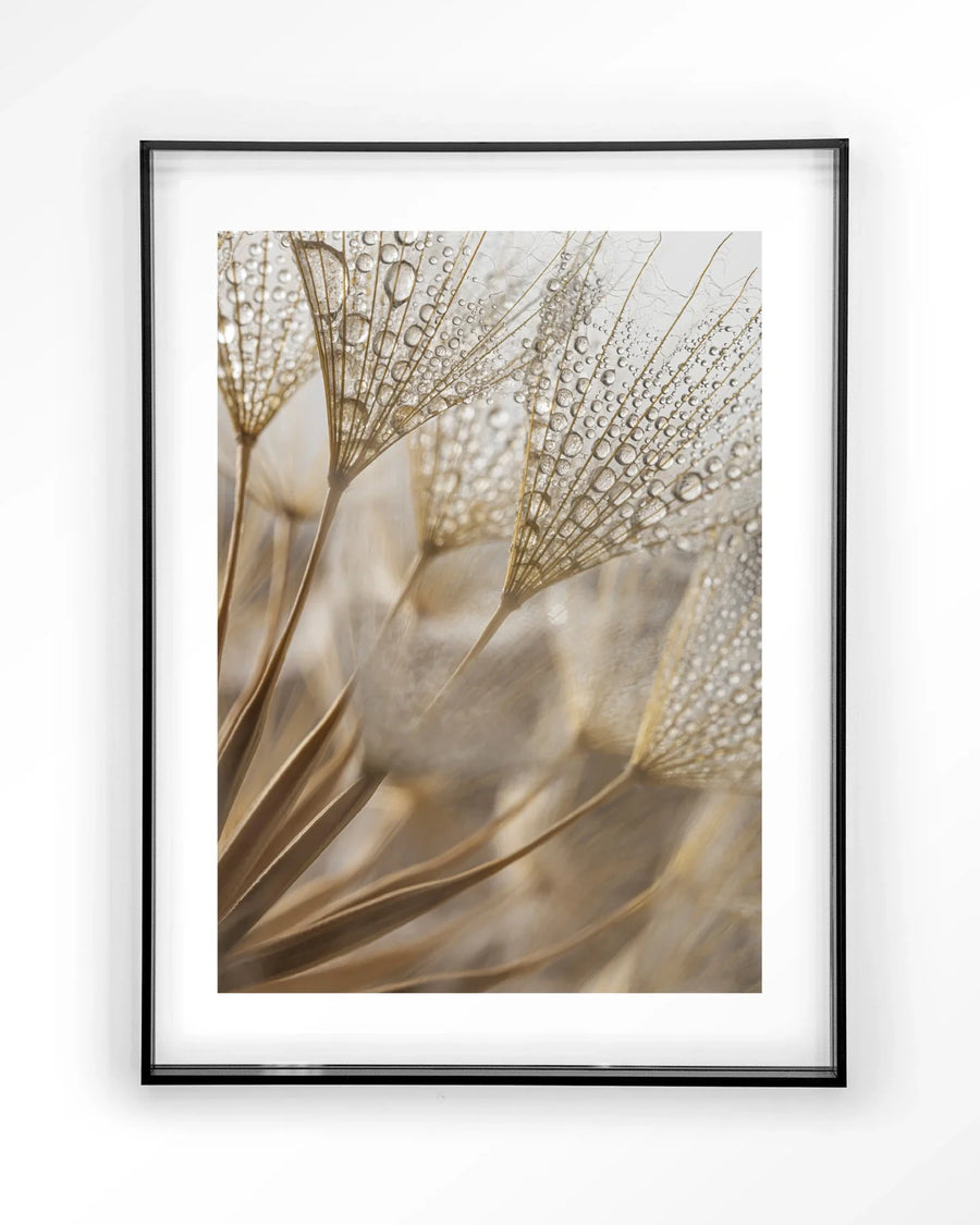 Natuurlijke Abstractie - Moderne Wanddecoratie | Artprint, Glass Art & Wandkleed