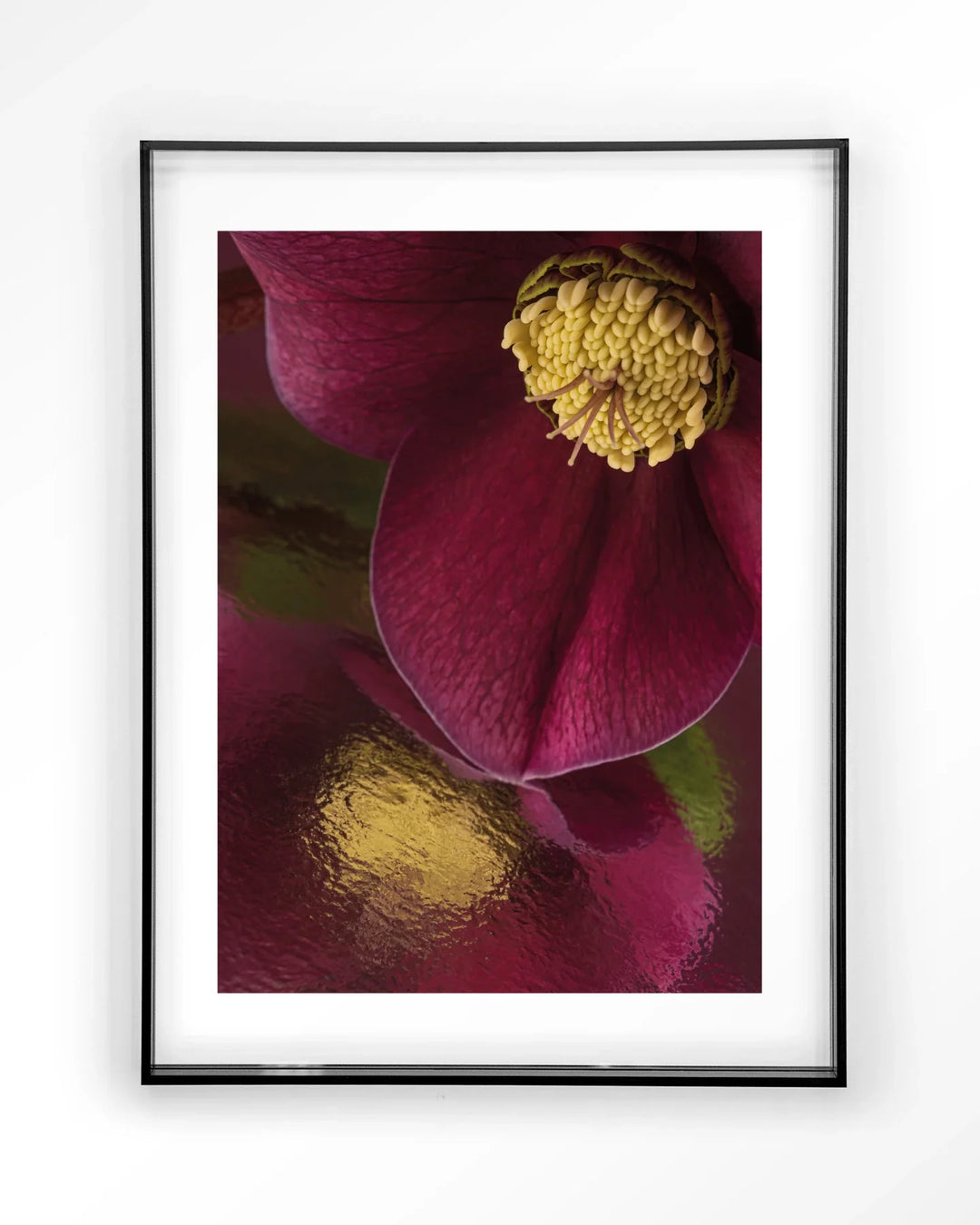 Weerspiegeling Van Een Kerstroos - Moderne Wanddecoratie | Artprint, Glass Art & Wandkleed