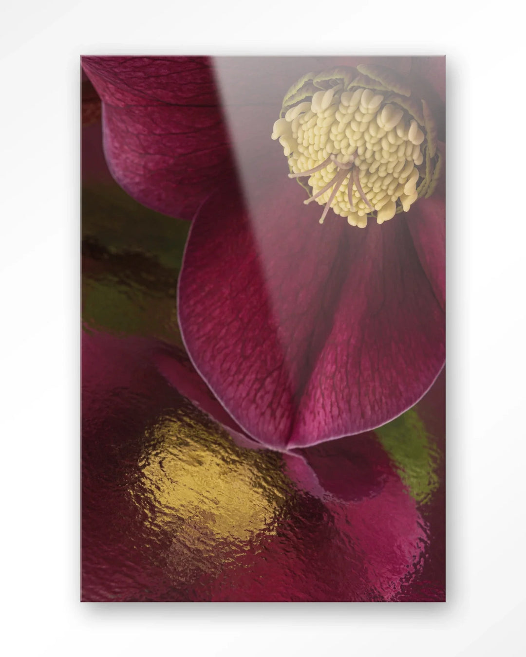 Weerspiegeling Van Een Kerstroos - Moderne Wanddecoratie | Artprint, Glass Art & Wandkleed