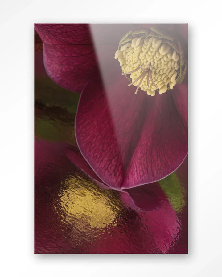 Weerspiegeling Van Een Kerstroos - Moderne Wanddecoratie | Artprint, Glass Art & Wandkleed
